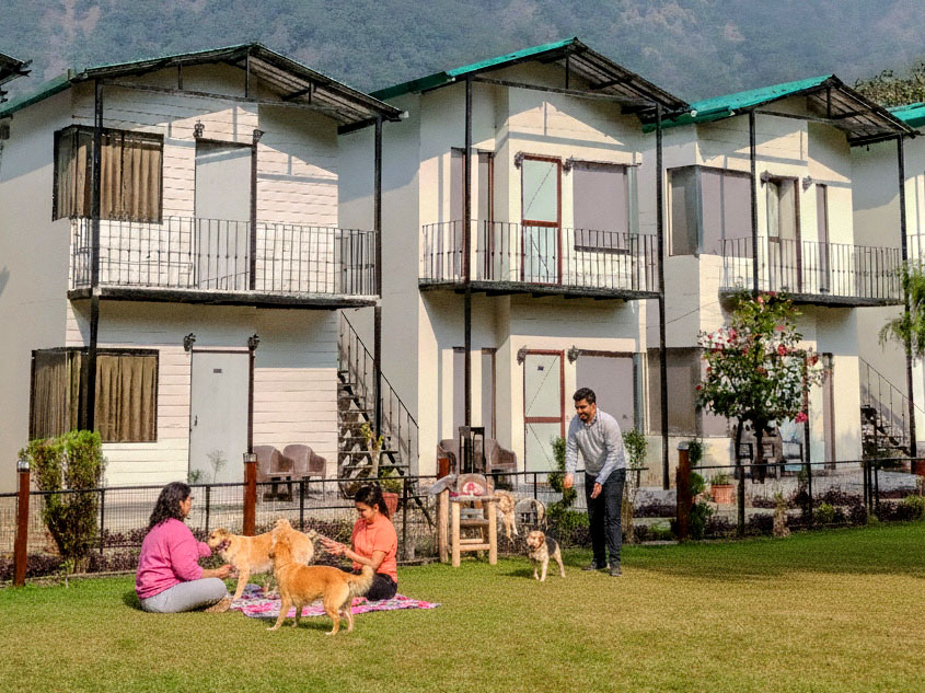 Perfect Location for a Peaceful Pet-Friendly Holiday